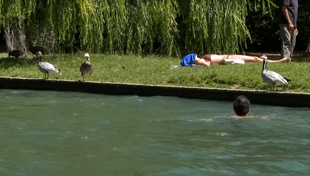 França registra mais de 2 mil mortes em semana de calor extremo; junho foi o mais quente da história