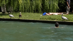 França registra mais de 2 mil mortes em semana de calor extremo; junho foi o mais quente da história