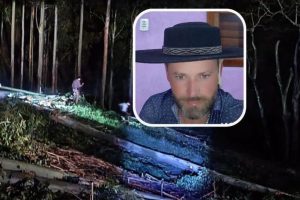 Homem morre após ser atingido por árvore durante corte de eucaliptos em Pouso Novo