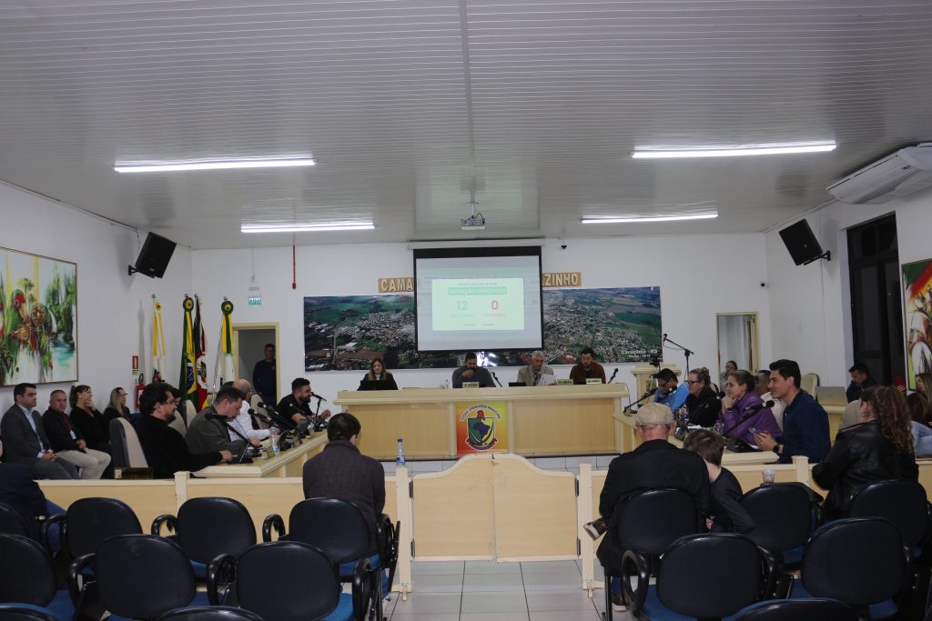 Vereadores aprovam R$ 100 mil para a APAE e atualizam lei de incentivo à cultura em Carazinho