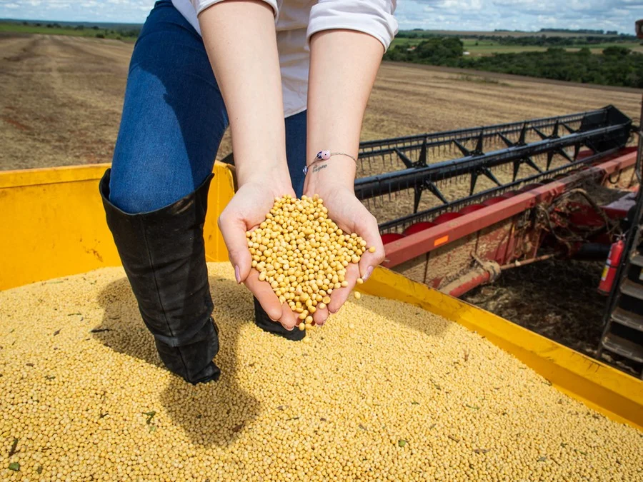 PIB de soja e biodiesel equivale a 4,8% do indicador total da economia brasileira