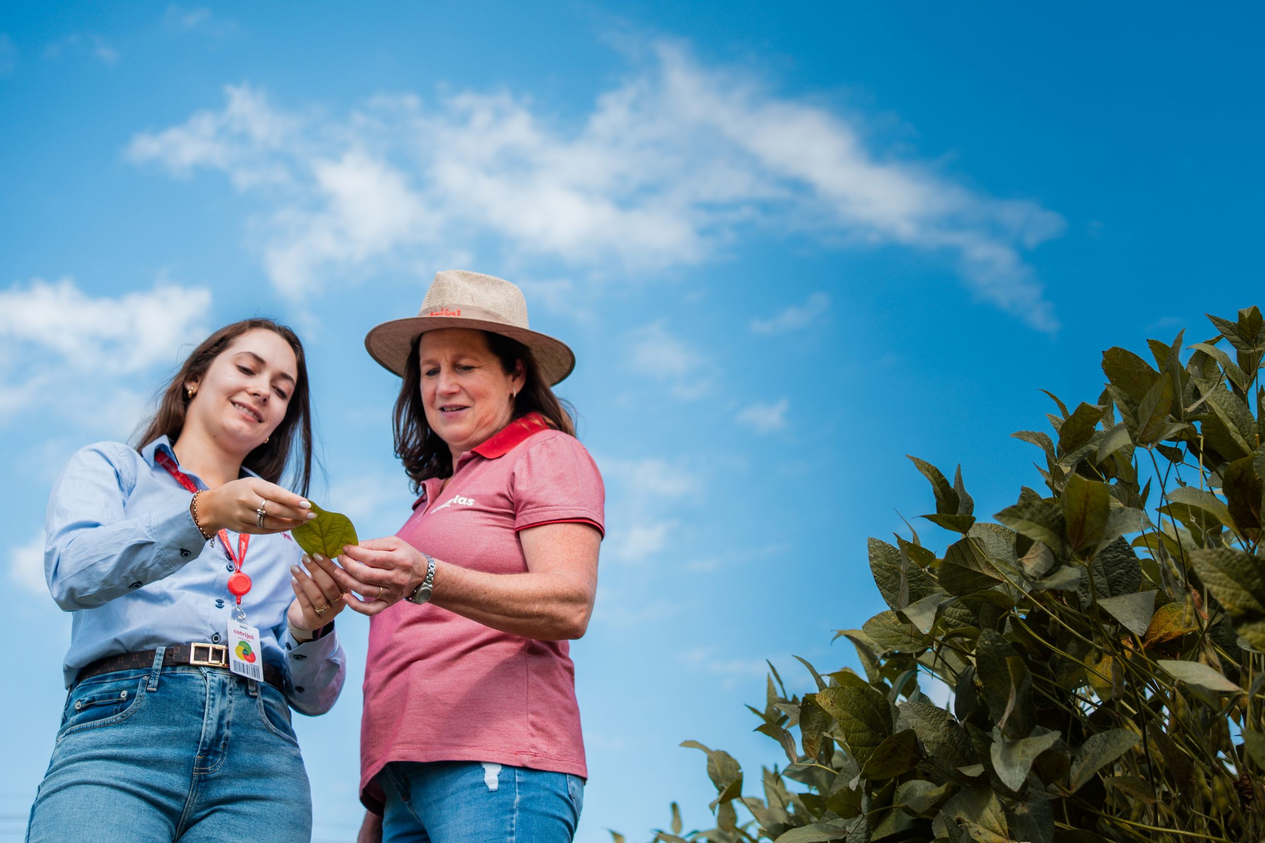 Cotrijal celebra avanços e apoio aos associados no Dia Internacional do Cooperativismo
