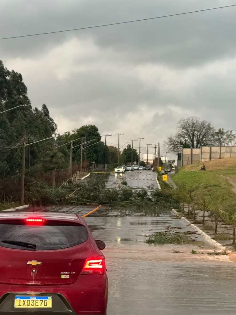 Temporal provoca destelhamentos, queda de árvores e interrupção de sessão da Câmara em Não-Me-Toque