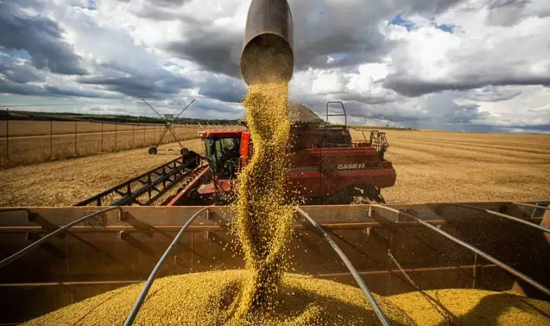 Mesmo com retração no agronegócio, PIB gaúcho fica estável no primeiro trimestre