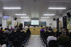 Câmara aprova convocação de servidores da Educação e cria selo para valorizar produtos de Carazinho