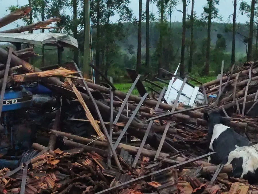 Chuvas causaram perdas de 143 mil toneladas no campo gaúcho