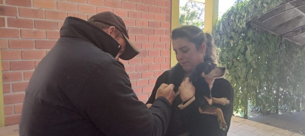 Campanha antirrábica imuniza 400 cães em Lagoa dos Três Cantos