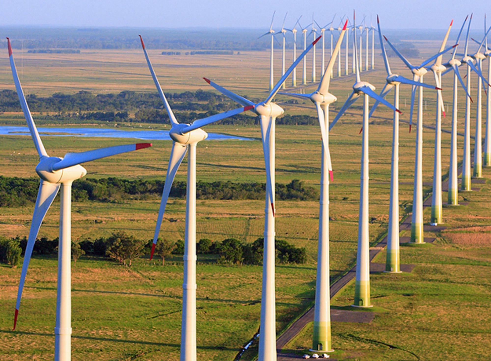 Energia eólica pode transformar a Metade Sul em novo polo de investimentos industriais no RS
