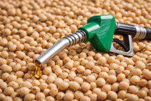 Farsul cobra medidas para evitar falta de diesel durante o plantio da safra de verão no RS
