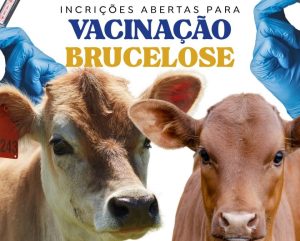 Lagoa dos Três Cantos promove vacinação contra a brucelose e orienta produtores rurais