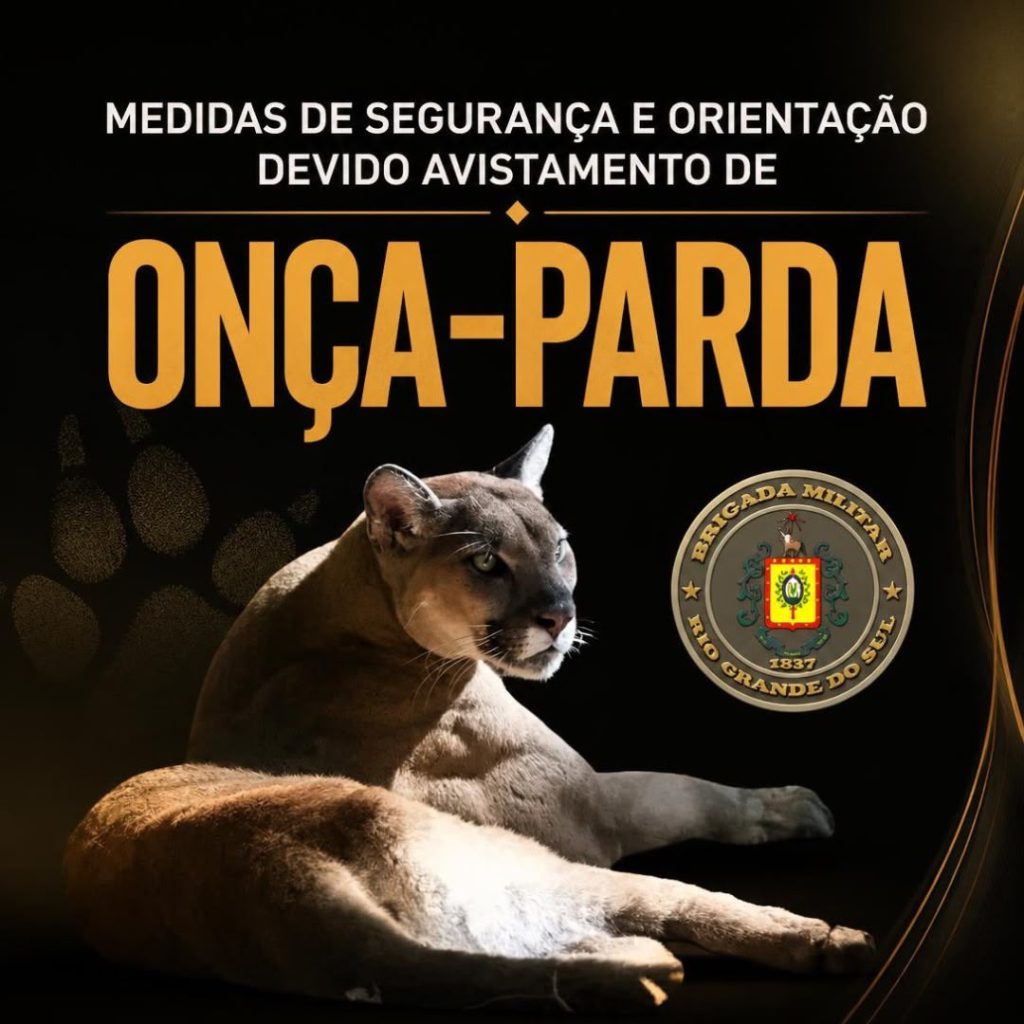 Medidas de segurança e orientações devido avistamento de onça-parda