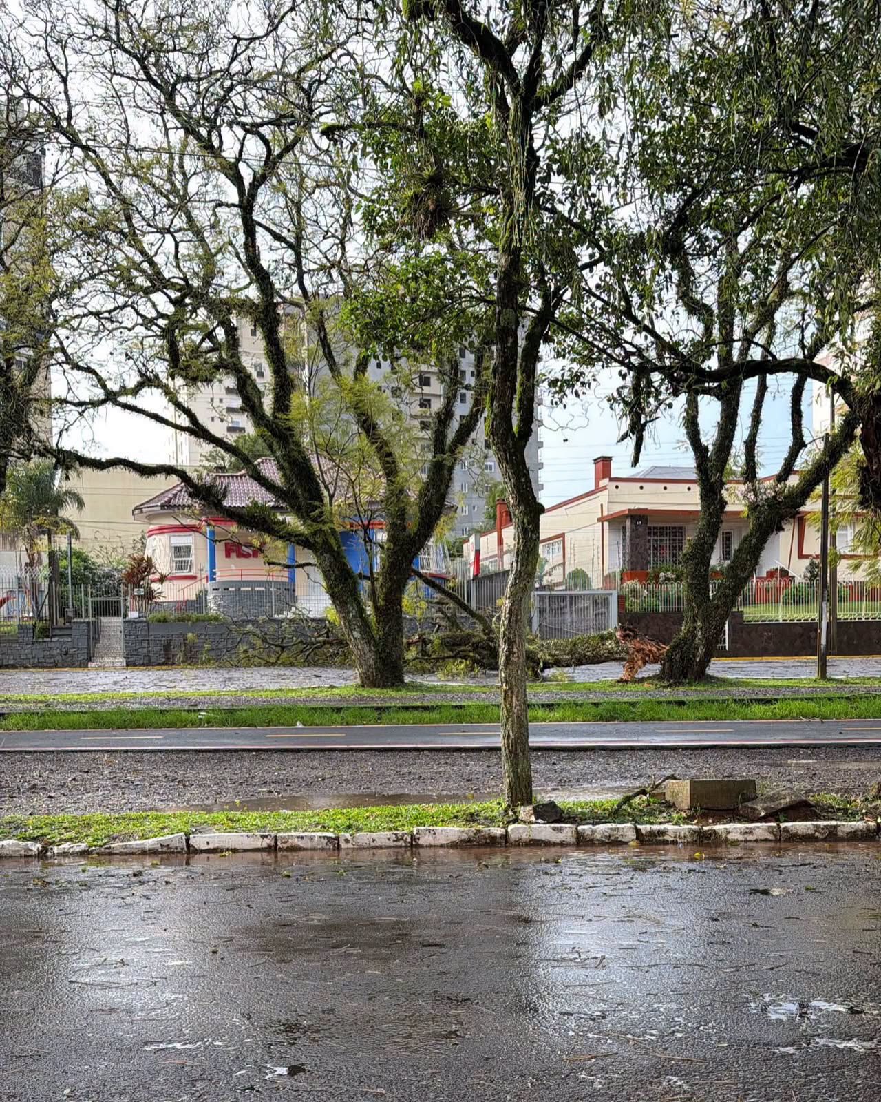 Temporal provoca queda de árvores, destelhamentos e pontos de alagamento em Carazinho