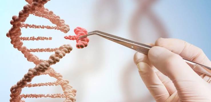 Pesquisadores desenvolvem técnica para controlar genes e buscar novos tratamentos para doenças raras