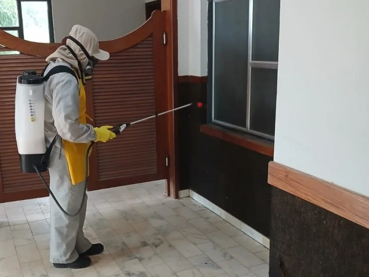 Aedes aegypti: quase metade dos municípios está em alerta ou risco