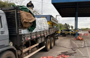 Caminhão carregado com ração escondia mais de 850 kg de maconha em Soledade