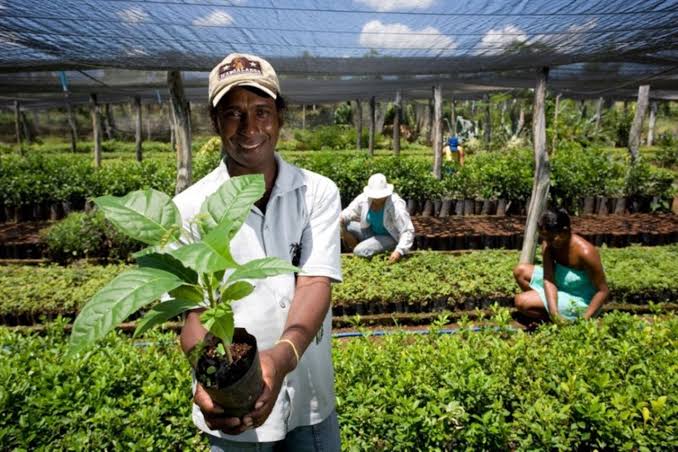 Contrata+Brasil movimenta R$ 4,1 milhões em compras públicas com MEIs e agricultores familiares no Rio Grande do Sul
