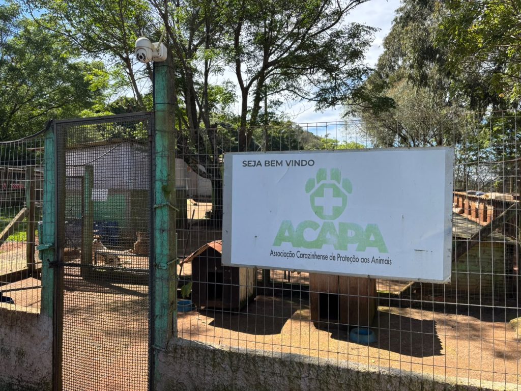 Patas em Movimento será realizado em dezembro para arrecadar recursos para a ACAPA de Carazinho