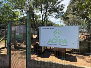 Patas em Movimento será realizado em dezembro para arrecadar recursos para a ACAPA de Carazinho
