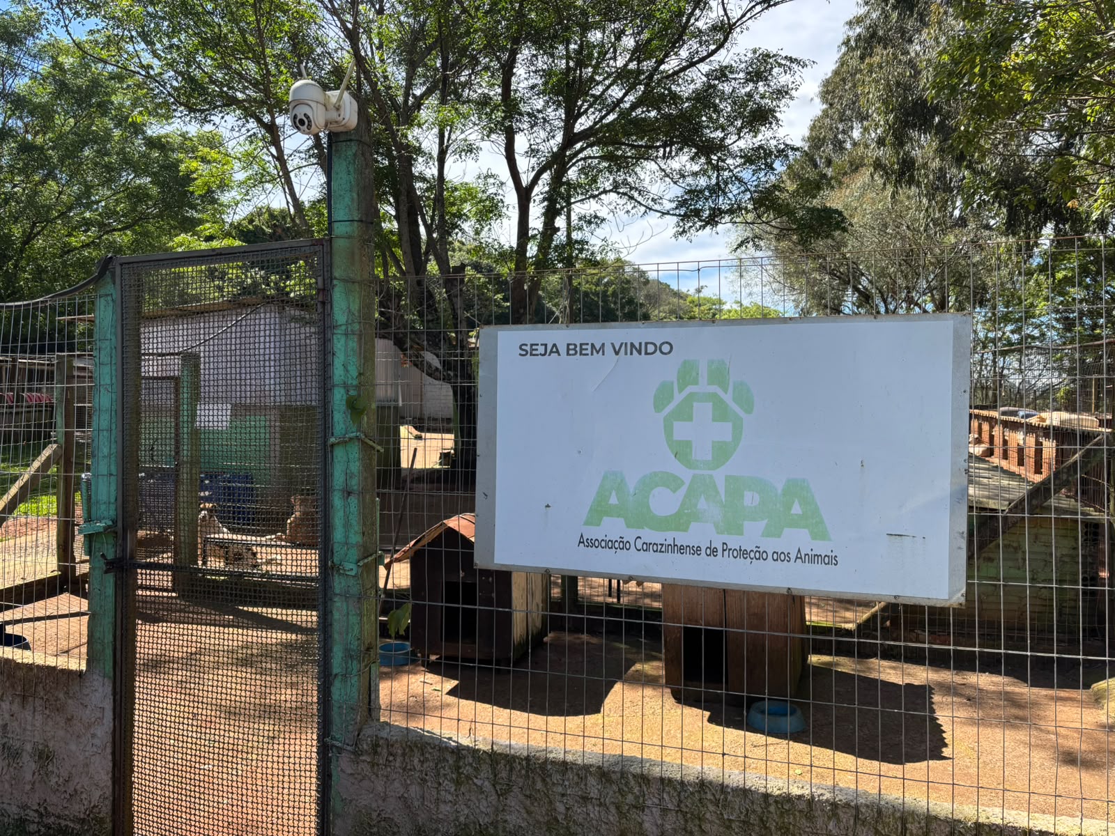 Patas em Movimento será realizado em dezembro para arrecadar recursos para a ACAPA de Carazinho